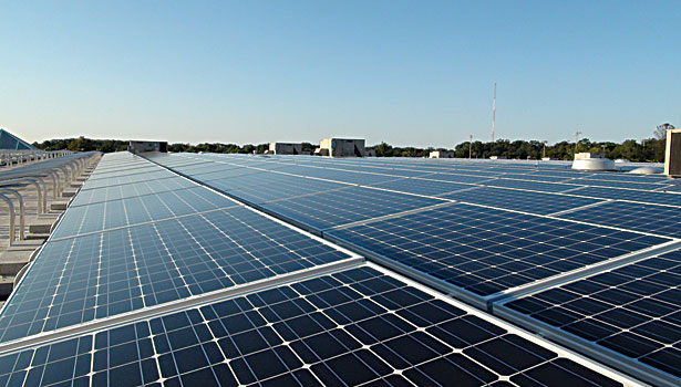 solar powered plant