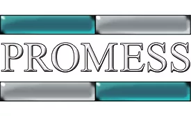Promess logo feature image