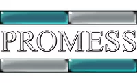Promess logo feature image Promess logo feature image