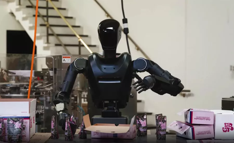 Phantom humanoid robot