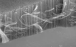 Can Carbon Nanotubes Replace Copper?
