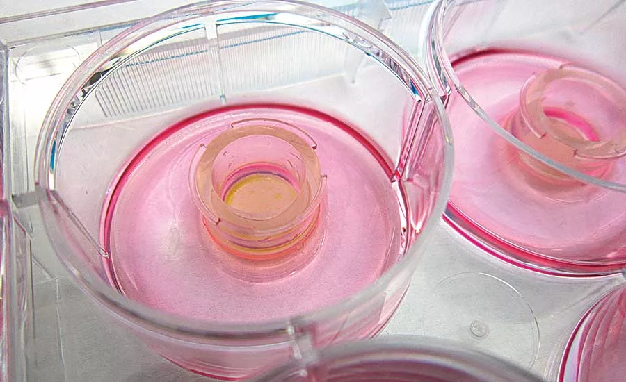 New Standard for Biocompatibility Testing