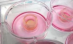 New Standard for Biocompatibility Testing