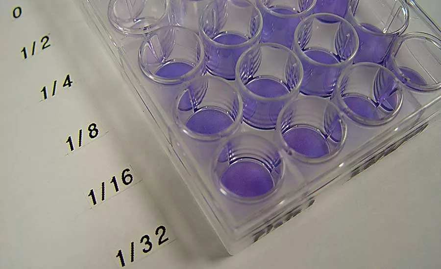 New Standard for Biocompatibility Testing