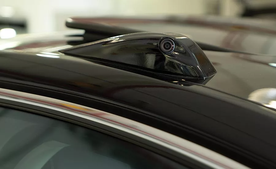 Sensors and sensibility