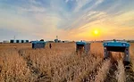 Unmanned Vehicles Thrive in Unpaved Environments