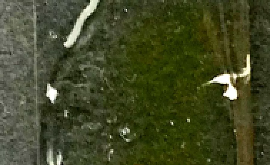 Microwave Curing of Epoxy