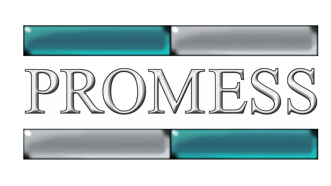 Promess Logo.jpg