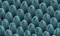 laser textured surface laser textured surface