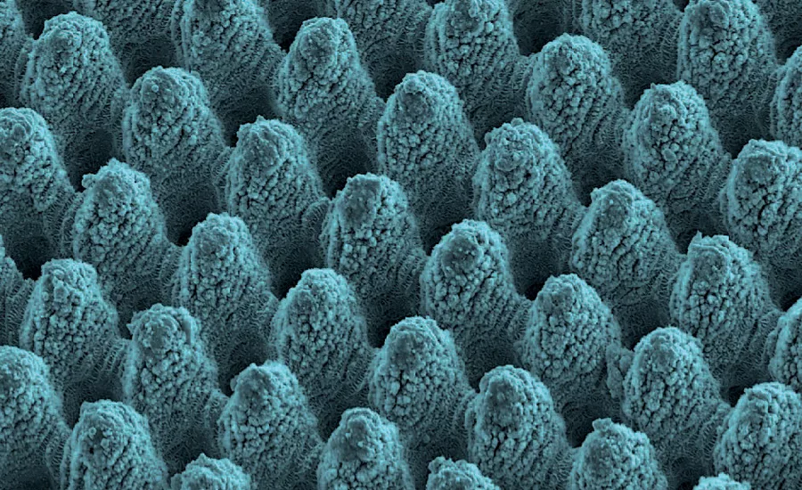 laser textured surface