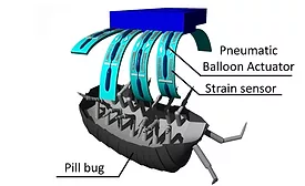 microfinger-900.jpg