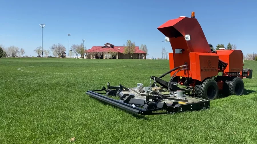 Toro.jpg