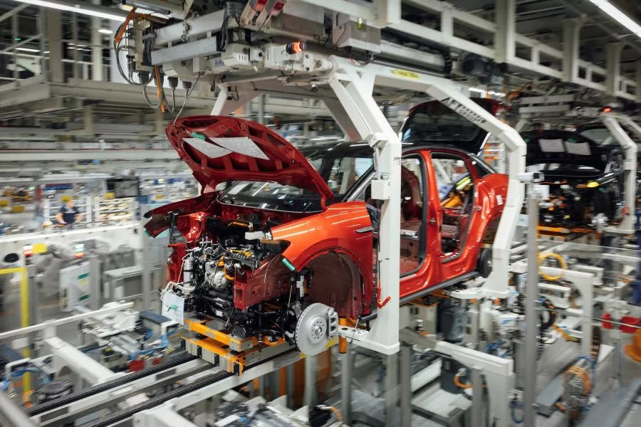 VWplant.jpg