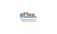 elfex white paper
