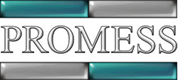 Promess logo