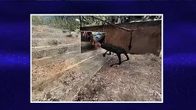 robotic dog being trained through AI