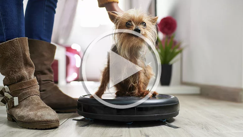 roomba with dog sitting on top