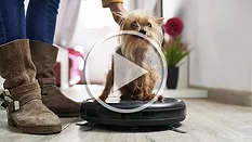 roomba with dog sitting on top