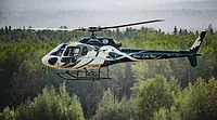 H125 reforestation.jpg