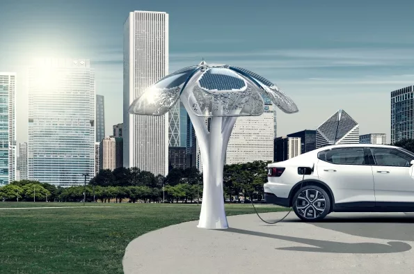 Solar Tree.jpg