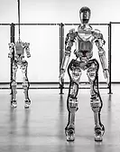 humanoid robot
