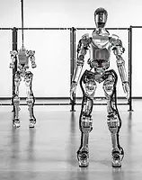 humanoid robot humanoid robot