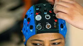 brain.jpg
