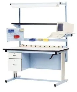 The “ERGOLINE”