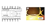 Microgroove_sl6