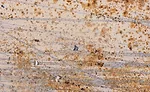 Figure 3 Stainless steel with signs of pitting corrosion