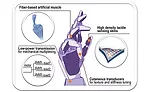 multifunctional materials provide both actuation and sensing capabilities