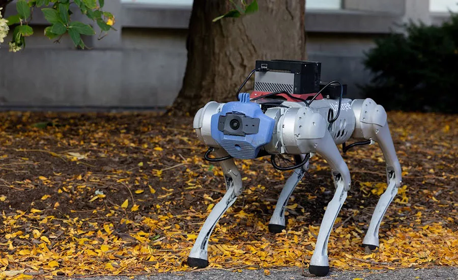 quadruped robot learns parkour