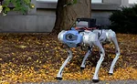 quadruped robot learns parkour