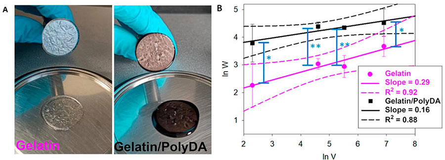 how hydrogel adhesives work