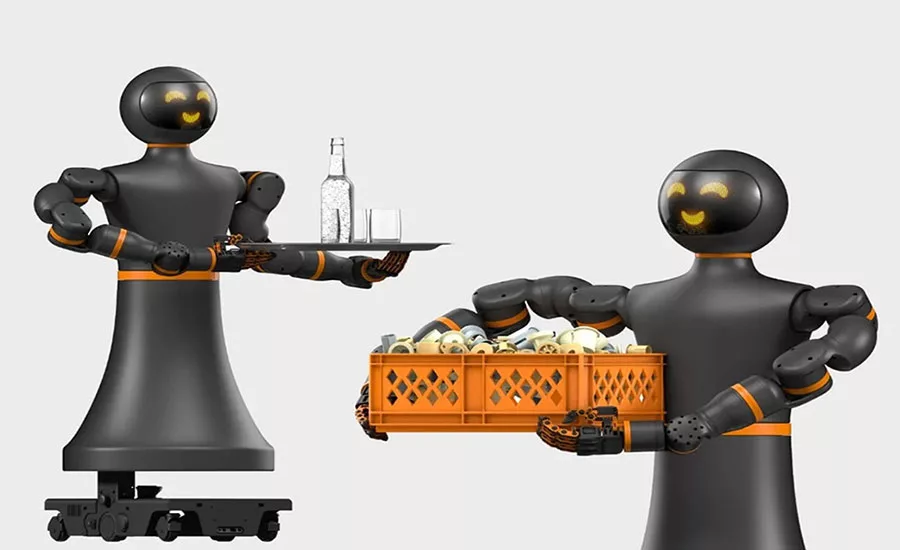 Iggy Rob humanoid robot