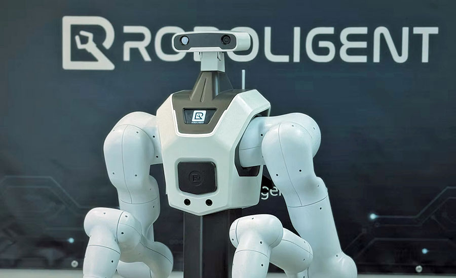 Robin mobile, dual-arm robot
