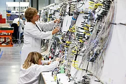 wire harness.jpg